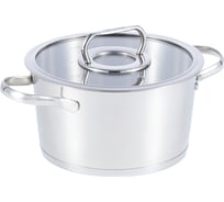 Кастрюля WERNER NICE 20x11см/3,1л со стеклянной крышкой, с индукционным капсульным дном. Материал: нерж. сталь 18/8. Толщина: 0,6мм 50313