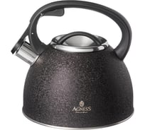 Чайник Agness со свистком 2.5 л, black, индукционное дно 907-251