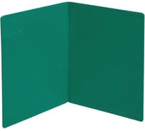 Разделочная доска ambient Omni AOM007PPG