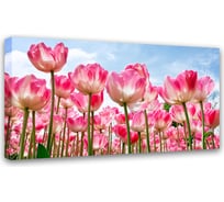 Картина на холсте Симфония Утренние Тюльпаны, 40x50 см 1-112
