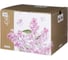 Чайный сервиз Lefard "lilac" на 6 пер. 14 пр. 760-755 3