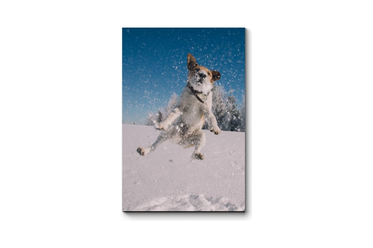 Картина Picsis Ныряя в пушистый снег 3692-10088850 - выгодная цена ...