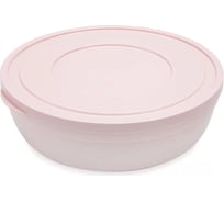 Салатник HOBBY LIFE SANDY розовый 2.8 л 25 см, низкий с крышкой HL031329P