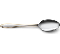 Набор ложек столовых APOLLO "Charles" 2 пр. CHR-42