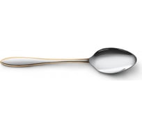 Набор ложек чайных APOLLO "Charles" 2 пр. CHR-52