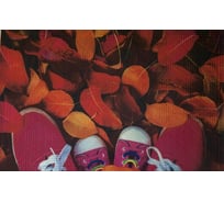 Коврик FORA придверный, грязезащитный, фотопринт Листья, 40x60 см FOR-DOOR06