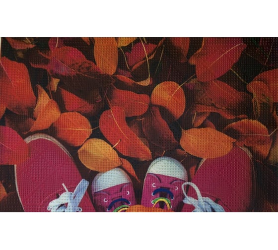 Коврик FORA придверный, грязезащитный, фотопринт Листья, 40x60 см FOR-DOOR06 1