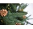 Ель GREENTREES Классико Премиум 240см ГТ307-936 4