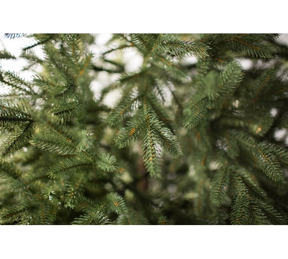 Ель GREENTREES Берген Люкс 210см ГТ158-499