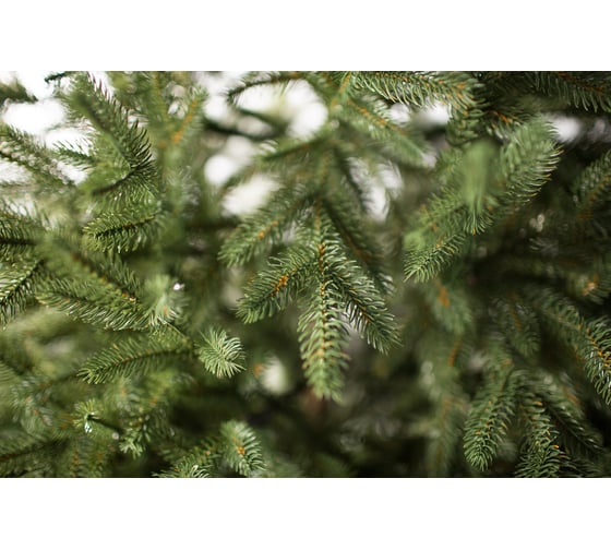 Ель GREENTREES Берген Люкс 210см ГТ158-499