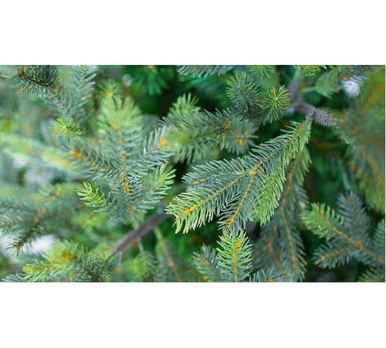 Ель GREENTREES Грацио Премиум 270см ГТ158-338