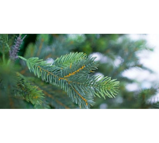 Ель GREENTREES Грацио Премиум 270см ГТ158-338