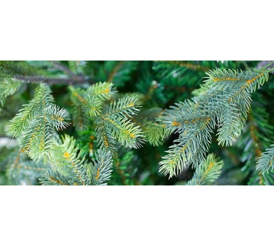 Ель GREENTREES Грацио Премиум 270см ГТ158-338