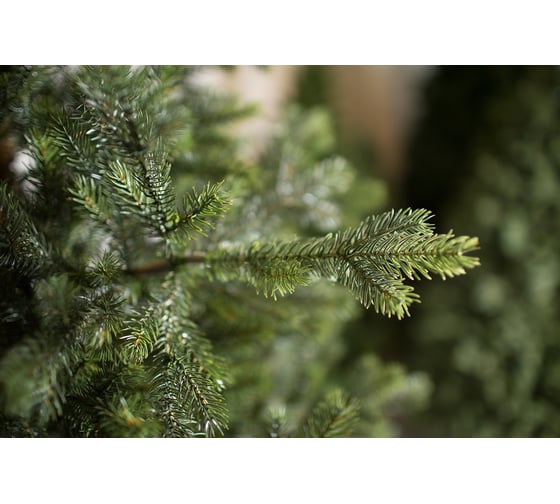 Ель GREENTREES Бавария Люкс 180см ГТ152-312