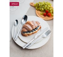 Набор столовых приборов APOLLO Genio Aroma 24 предмета ARM-24