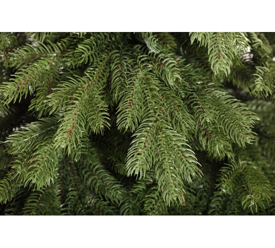 Ель CRYSTAL TREES Эмили зеленая, 180 см KP4618