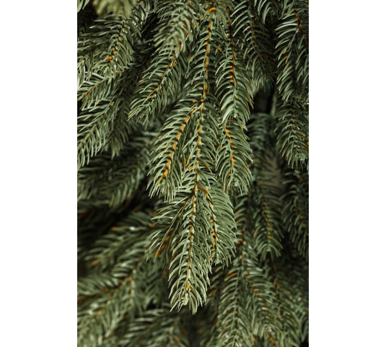 Ель CRYSTAL TREES Эмили серо-голубая, 210 см KP4521