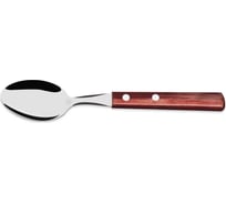 Ложка столовая Tramontina Polywood 21103/470-TR