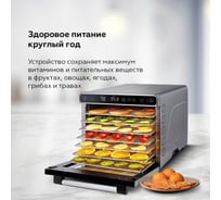 Сушилка для овощей и фруктов FD1007 Сталь BQ 86202119