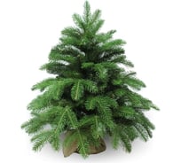 Искусственная ель BEATREES Anson 0.6 м, 1031906
