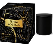 Ароматическая свеча Breesal TERRA MYSTICA «Miracle» (Чудо) (12) BR0016