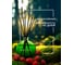 Декоративный ароматизатор Breesal Aromatherapy Внутренняя гармония (8) ARST/005 6