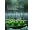 Декоративный ароматизатор Breesal Aromatherapy Медитация (8) ЮНК ARST/009 5