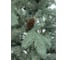 Ель BEATREES Топаз голубая с шишками 2,1 м 1036921 2