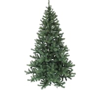 Ель MOROZCO Торонто зеленая 2,4 м 6424