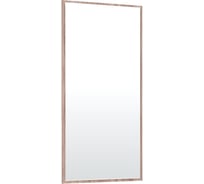 Прихожая Арника Ямайка зеркало ЯПЗ-1 ясень шимо 00-00003909