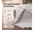 Всесезонное стеганое одеяло EDELSON COTTON 200x220 см EH-22-42 5