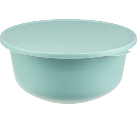 Миска IDEA ТЭСТИ 4,3 л, с крышкой, морская волна, М 1364 Морская волна