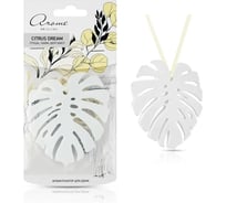 Ароматизатор для дома АЕР Монстера Citrus dream 105251