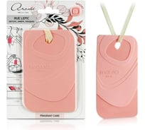 Ароматизатор для дома АЕР Fragrant Card Rue Lepic 105241