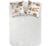 Комплект наволочек WENGE перкаль 70x70 (2 шт.) Kids рис. 16084-1 Kitten orange 894750