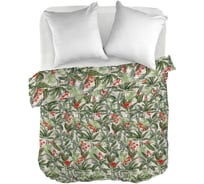 Пододеяльник WENGE бязь, 215x145, рис. 60001-1 Jacquelin 795605