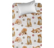 Простыня WENGE перкаль, 214x150 см, Kids 16084-1 Kitten orange 894758