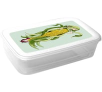 Контейнер Архимед 3,5 л, с декором IML Р2159i