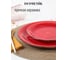 Десертная тарелка DOMENIK SCARLET 19 см DMD002 3