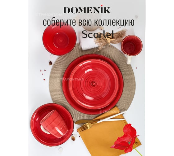 Суповая тарелка DOMENIK SCARLET 21 см DMD003