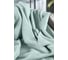 Плед Arya Home Arya Softy хлопок, 200x220 см, Мятный 8680943232151 4