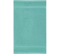 Полотенце Arya Home Arya Miranda Soft однотонное, 50x90 см, Аква 8680943039422