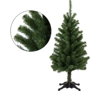 Ель Волшебная страна Алтайская, 120 см, 005889