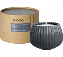 Свеча ароматическая Black Ink из коллекции Edge Tkano серый, 30 ч TK23-ARO0031