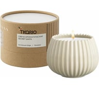 Свеча ароматическая Secret Santa из коллекции Edge Tkano бежевый, 30 ч TK23-ARO0022