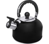 Чайник со свистком HOME ELEMENT HE-WK1604A черный матовый 42003