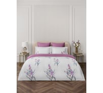 Постельное белье Arya Home Arya Exclusive, 1.5-спальное, 160x220 Calantha Белый, Сиреневый 8680943210159