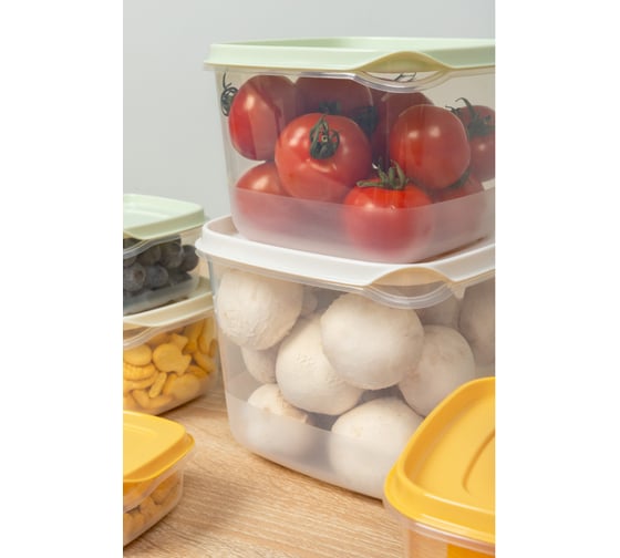 Комплект контейнеров для продуктов Phibo CLEVER 5 шт., 0,12 л + 0,25 л + 0,45 л + 0,75 л + 1,2 л, Микс 1 433160618