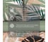 Комплект постельного белья Этель полутораспальный Colored tropics (вид 2) 143х215 см, 150х214 см, 70х70 см 2 шт, поплин 125 5418223 8