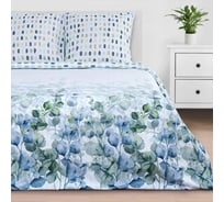 Комплект постельного белья Этель Дуэт Eucalyptus 143х215 см - 2 шт, 220х240 см, 70х70 см - 2 шт, поплин 5181647